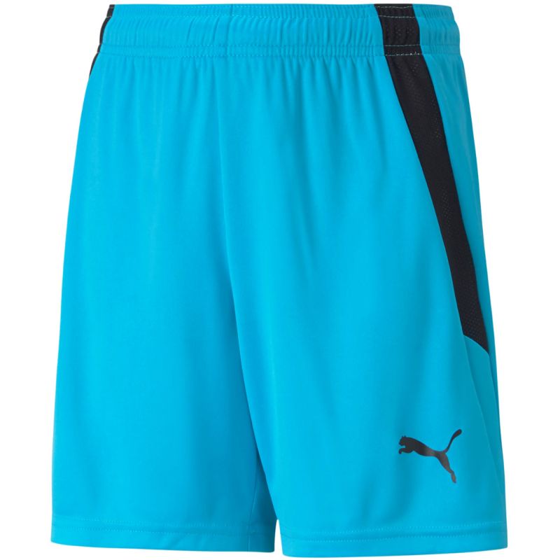 Puma teamLIGA Shorts Jr 704931 40 Clothing/Training Your Sports Performance