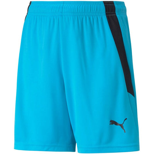 Puma teamLIGA Shorts Jr 704931 40 Clothing/Training Your Sports Performance