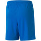 Puma teamLIGA Shorts Jr 704931 02 Clothing/Training Your Sports Performance