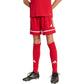 Shorts adidas Squadra 25 Jr JN5456 Clothing/Football Adidas