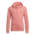 Adidas Jr HE1968 sweatshirt Clothing/Training Adidas