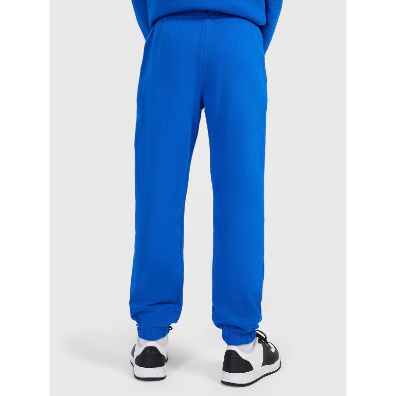 Boys' sweatpants 4F 4FJWAW26TTROM1759-36S