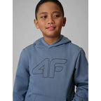 Boy's regular hooded sweatshirt 4F 4FJRSS26TSWSM2748-32S 4f
