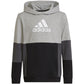 Adidas Colourblock Hoodie Jr HN8563 sweatshirt Clothing/Lifestyle Adidas