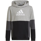Adidas Colourblock Hoodie Jr HN8563 sweatshirt Clothing/Lifestyle Adidas
