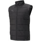 Puma teamLiga Vest M 657968 03 Clothing/Training Puma