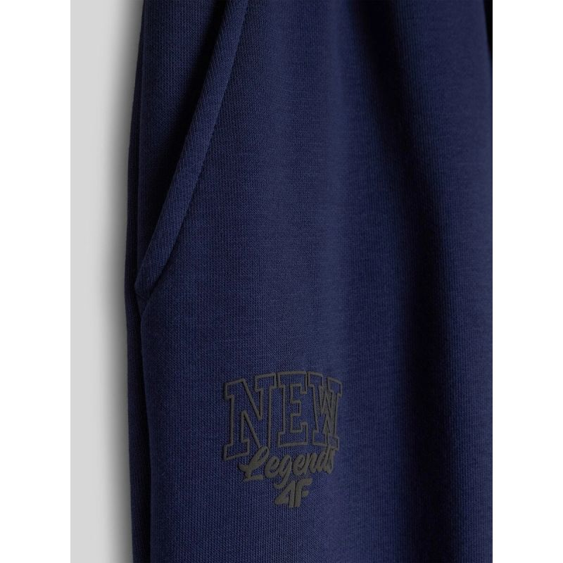 Boys' 4F Jogger Sweatpants 4FJRAW26TTROM2107-31S