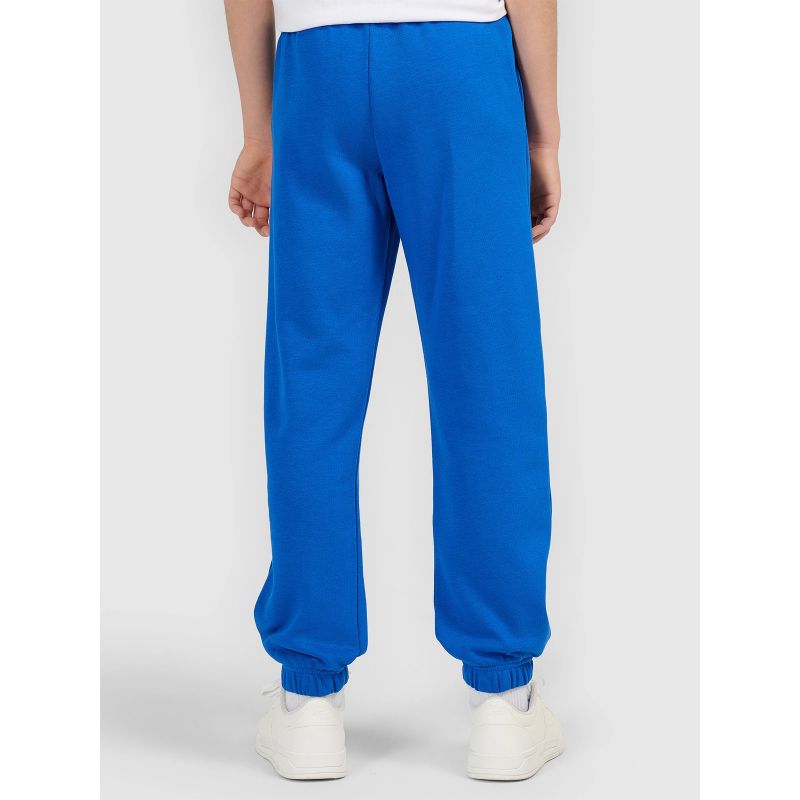 Boys' sweatpants 4F 4FJWAW26TTROM1759-36S