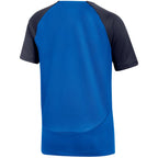 Nike DF Academy Pro SS Top K Jr DH9277 463 T-shirt Clothing/Training Nike