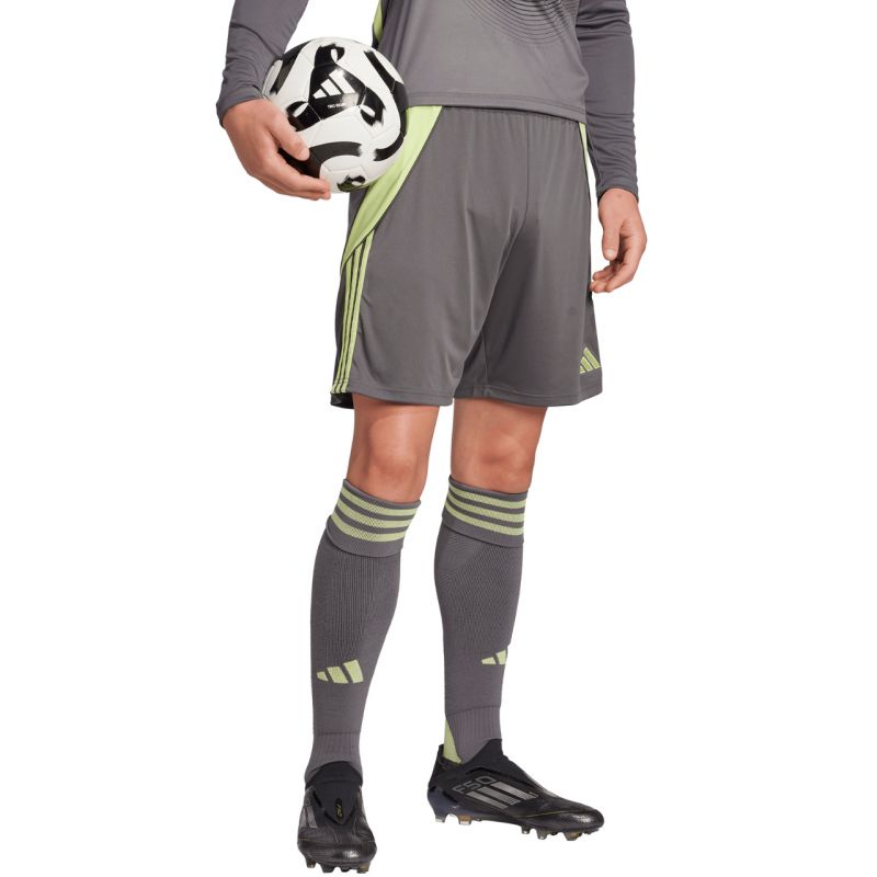 Shorts adidas Tiro 24 M JN1993 Clothing/Football Adidas