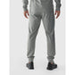 Men's quick-drying training pants 4F 4FWAW24TFTRM681-25M 4f