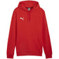Puma Team Goal Casuals Hoody M 658618 01 Clothing/Training Puma