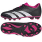 Shoes adidas Predator Accuracy.4 FG Jr HQ0952 Footwear/Football/Kids Adidas