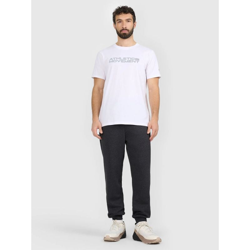 Men's jogger sweatpants 4F 4FRAW25TTROM1696-22S 4f