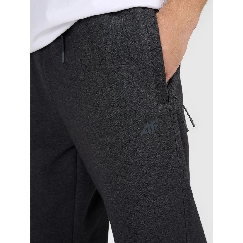 Men's jogger sweatpants 4F 4FRAW25TTROM1696-22S 4f