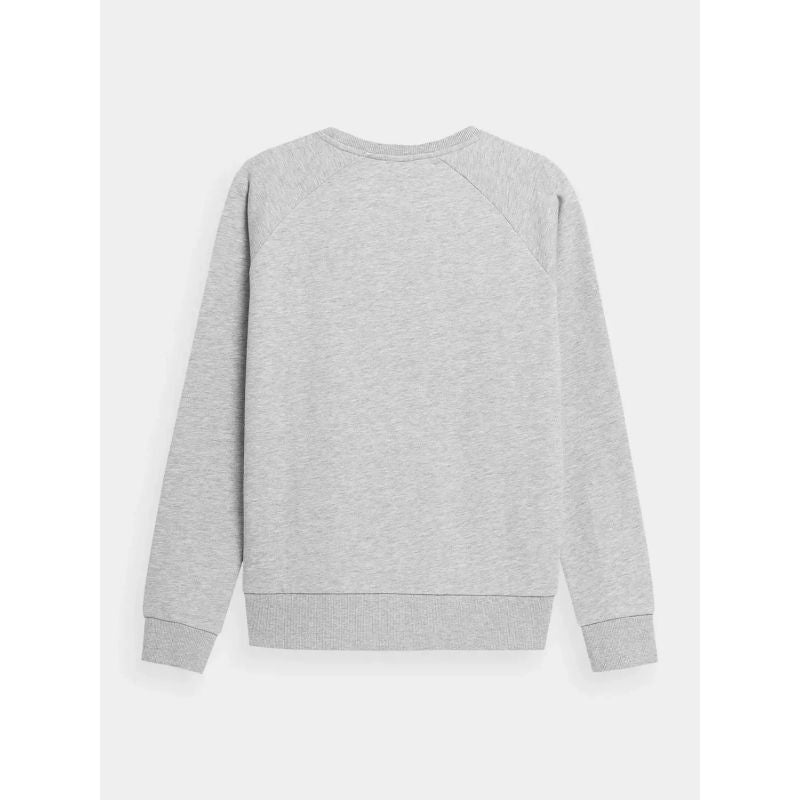 Sweatshirt 4F W 4FSS23TSWSF370-27M Clothing/Lifestyle/4F 4F