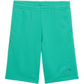 Puma ESS Small No. 1 Logo Kids Shorts Green 692974 40