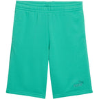 Puma ESS Small No. 1 Logo Kids Shorts Green 692974 40