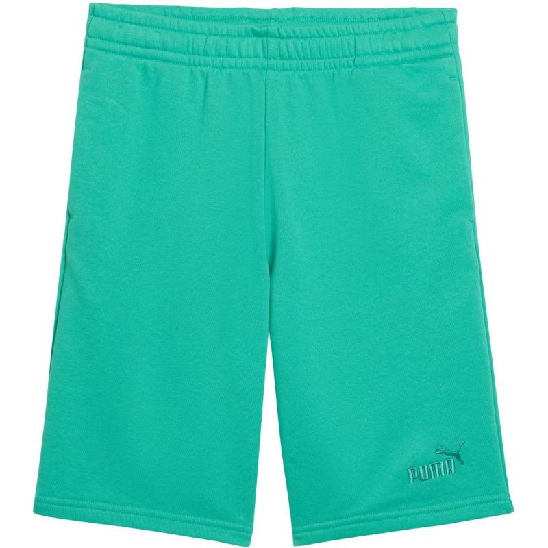 Puma ESS Small No. 1 Logo Kids Shorts Green 692974 40