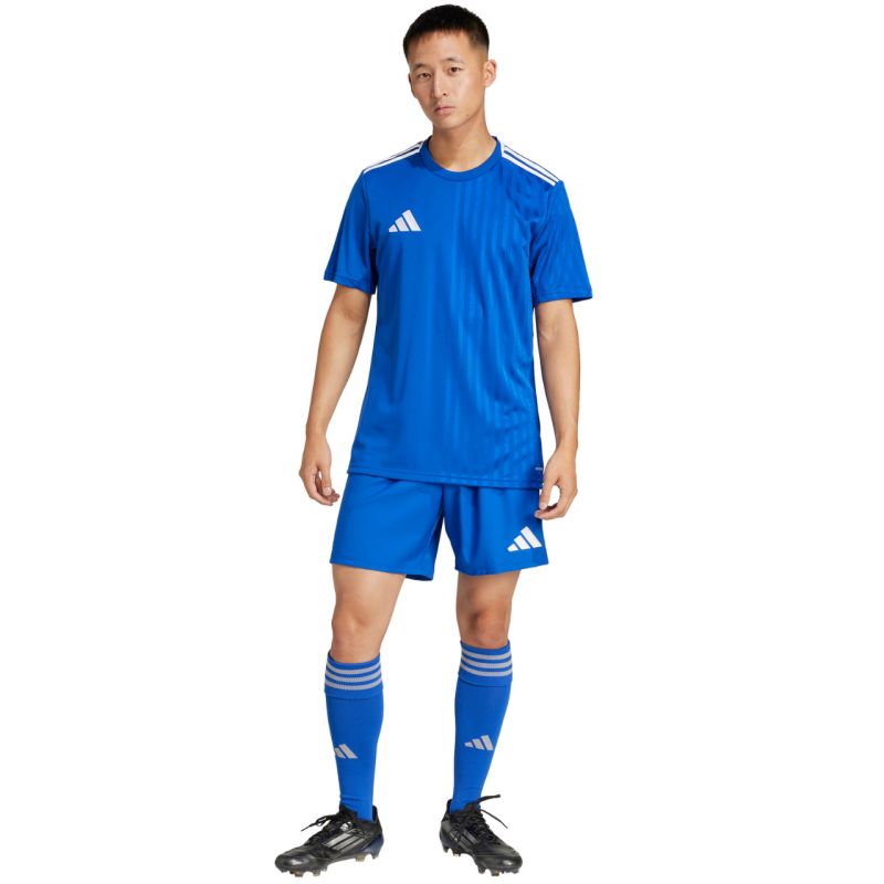 adidas Tastigo 25 M JN7159 shorts Clothing/Training Adidas