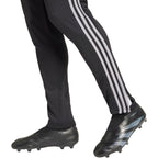 Adidas Tiro 24 WInterized M pants IM9974 Clothing/Football Adidas