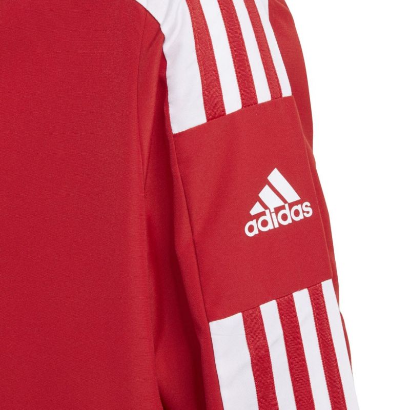 Adidas Squadra 21 Presentation Jacket Jr GP6439 sweatshirt Clothing/Football Adidas