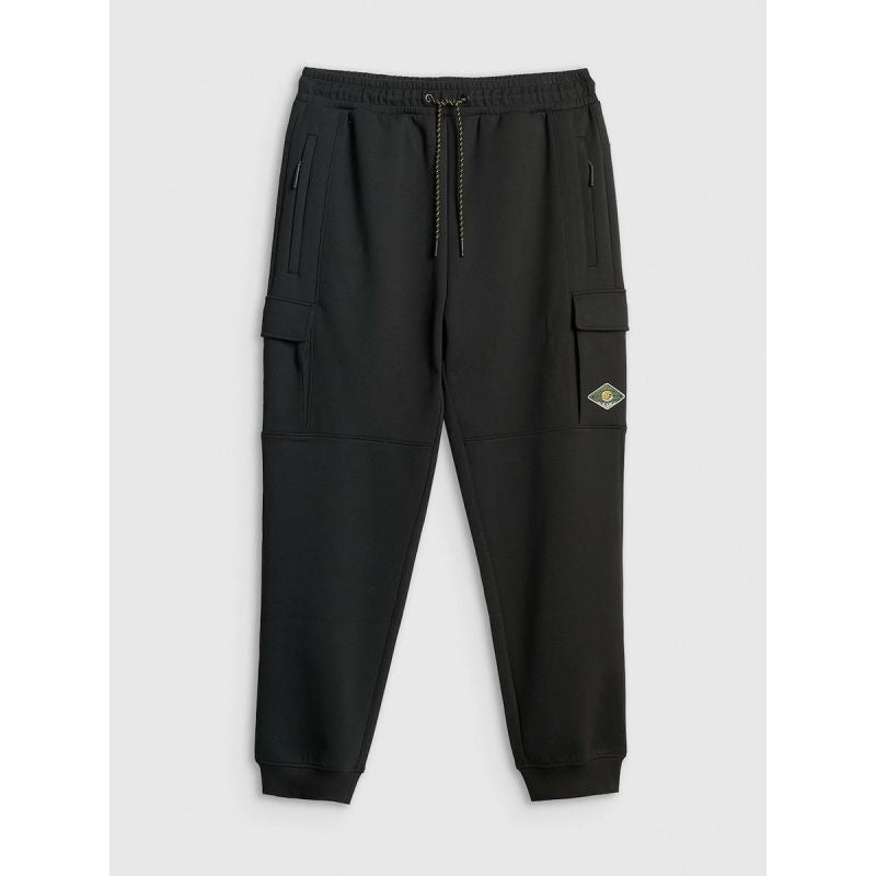 Men's cargo sweatpants 4F 4FRSS26TTROM1916-20S 4f