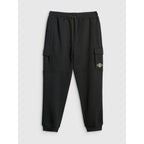 Men's cargo sweatpants 4F 4FRSS26TTROM1916-20S 4f