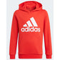 Adidas Essentials Big Logo Hoodie Jr GN4037 Clothing/Lifestyle Adidas
