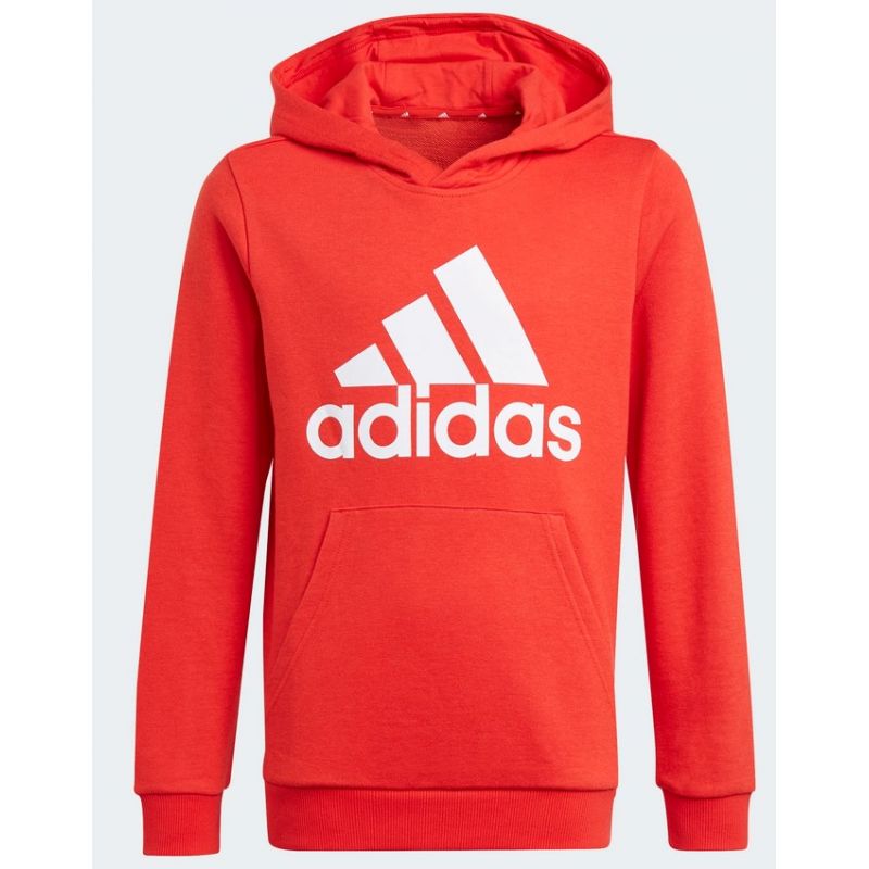 Adidas Essentials Big Logo Hoodie Jr GN4037 Clothing/Lifestyle Adidas