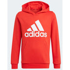 Adidas Essentials Big Logo Hoodie Jr GN4037 Clothing/Lifestyle Adidas