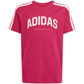 adidas Codes Collegiate Graphic Tee for kids pink KA9764 In preparation Your Sports Performance