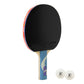 Giant Dragon 8★ N8082 Table Tennis Racket Accessories/Rackets and accessories Your Sports Performance