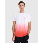 Men's regular printed T-shirt 4F 4FRAW25TTSHM3226-62S 4f