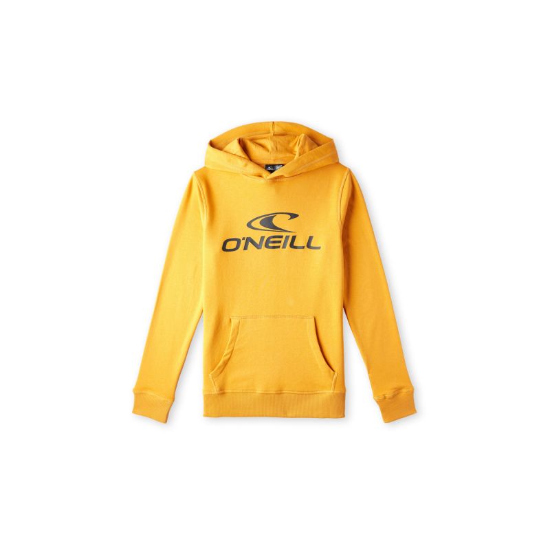 O'Neill Logo Hoodie Jr 92800615006 Clothing/Lifestyle/4F Your Sports Performance