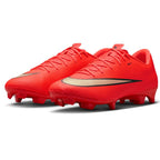 Nike Zoom Mercurial Vapor 17 Academy FG/MG IF8517-600 Football Boots