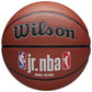 Wilson Jr NBA Fam Logo Auth In Out Ball Basketball WZ2018401XB Accessories/Balls/Basketball Your Sports Performance