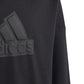 Sweatshirt adidas FI Logo HD Jr. HR6301 Clothing/Lifestyle Adidas