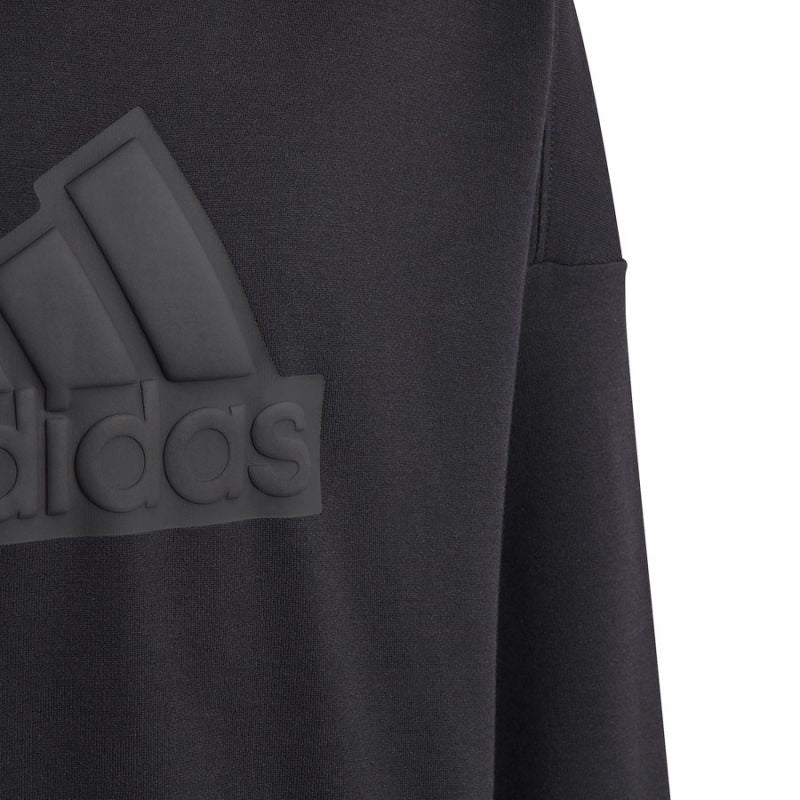 Sweatshirt adidas FI Logo HD Jr. HR6301 Clothing/Lifestyle Adidas