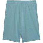 Puma ESS Small No. 1 Logo Kids Shorts Blue 692974 47