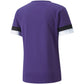 Puma teamRise Jersey M 704932 10 Clothing/Training Puma