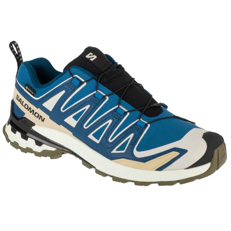 Salomon XA Pro 3D v9 GTX M L47817400 Running Shoes Footwear/Running/Men Your Sports Performance