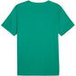 Puma teamRISE Matchday Jersey M 706132 05 Clothing/Football Puma