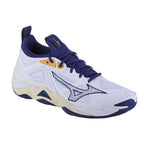 Mizuno Wave Momentum 3 M V1GA231243 shoes Footwear/Volleyball/Men Mizuno