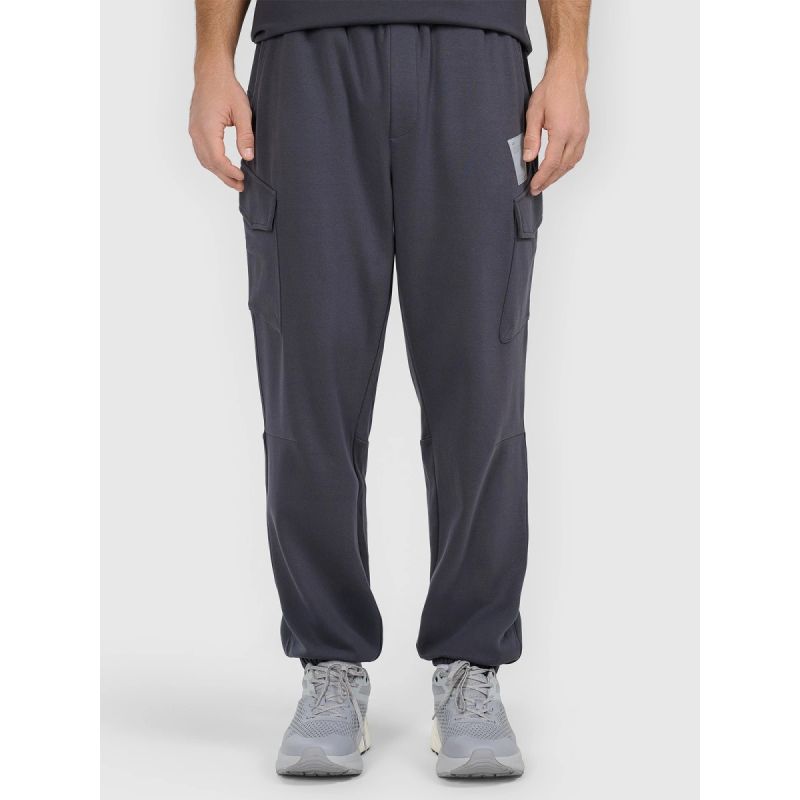 Men's jogger sweatpants 4F 4FRAW25TTROM1694-22S 4f