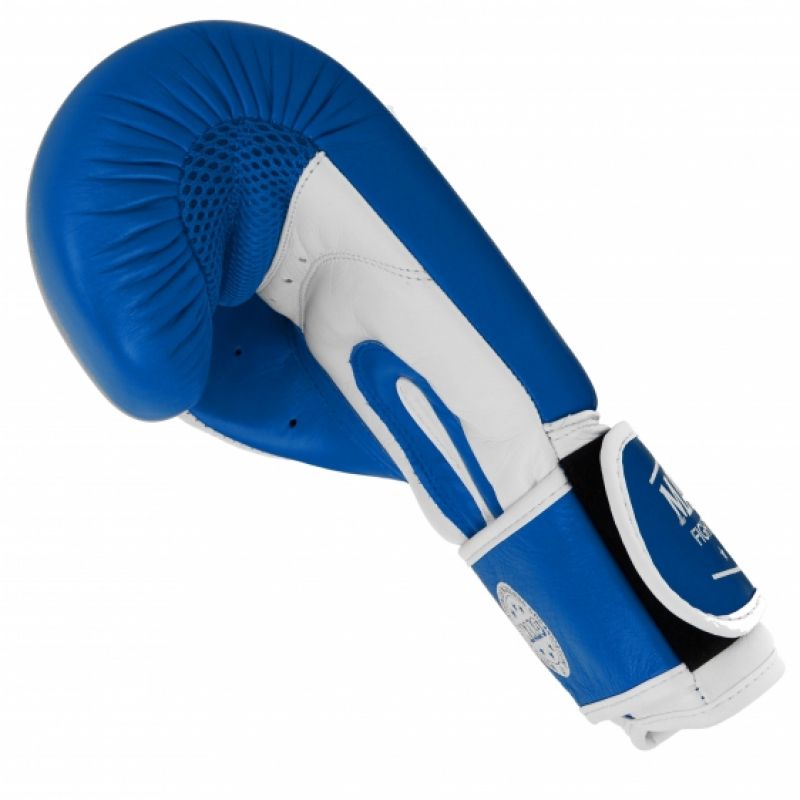 Leather boxing gloves MASTERS RBT-TRW 01210-02 Accessories/Gloves Your Sports Performance