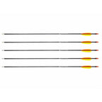 Poe Lang 28" Fiberglass Arrows - Set of 5 (D-055-B3) Strzelectwo/Strzały do łuków Your Sports Performance