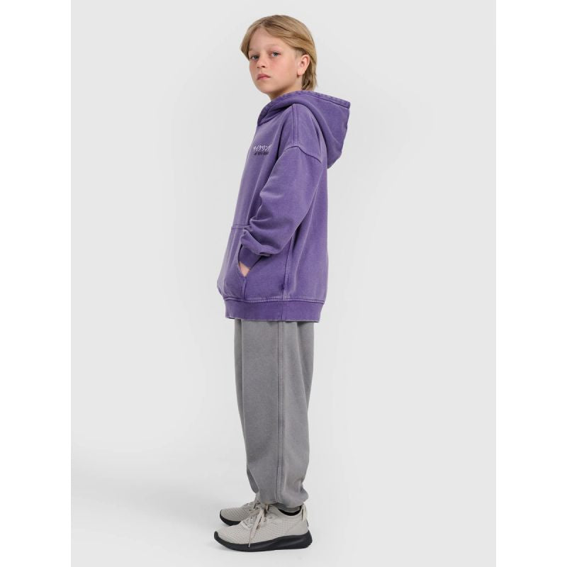 Boys' jogger sweatpants 4F 4FJRAW25TTROM1528-24S 4f