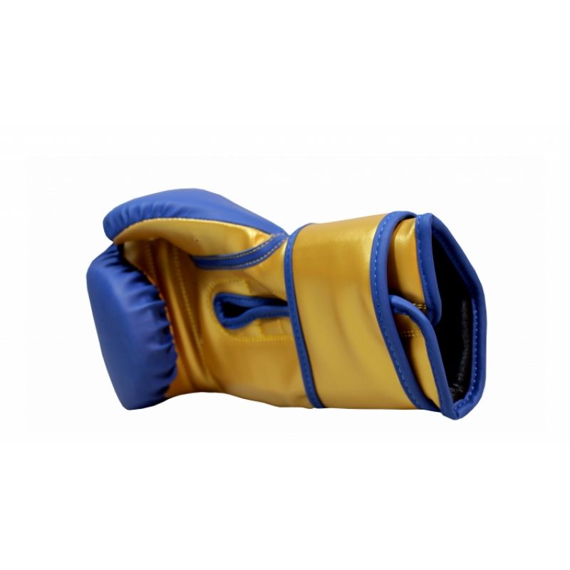 Masters Boxing Gloves RPU-COLOR/GOLD 10 oz 01439-0210 Accessories/Gloves Your Sports Performance