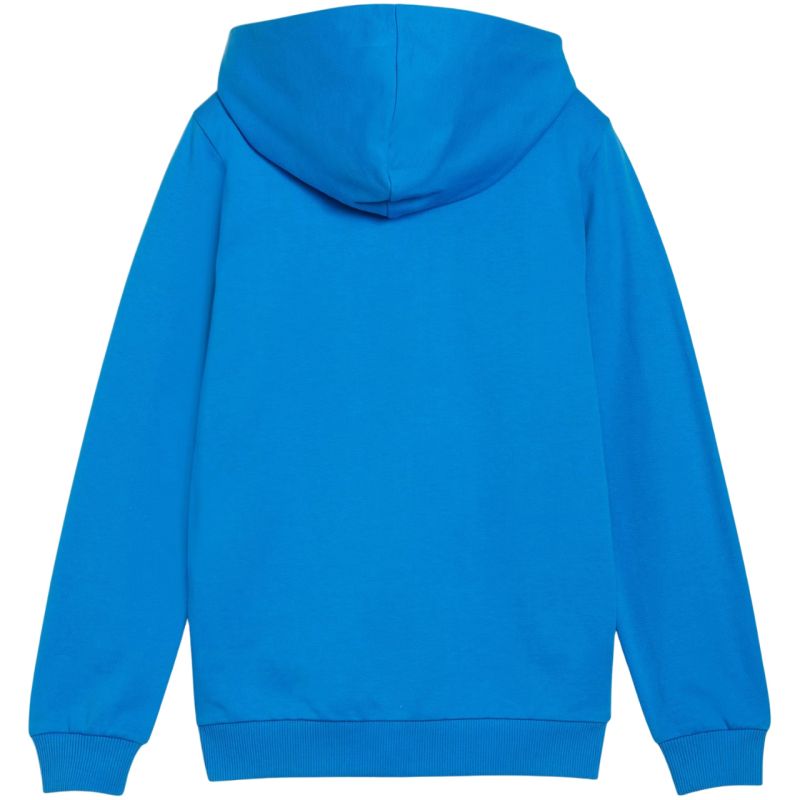 Puma teamGoal Casuals Hooded Jr sweatshirt 658596 02 Puma